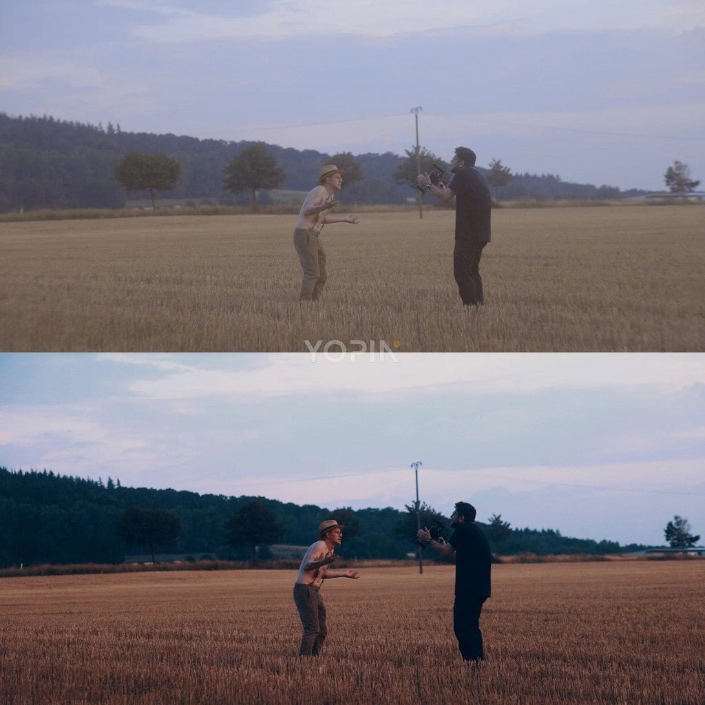 LUT | 27 Canon R5 R6 C - Log3 Cinematic LUTs 📸🎬 - MICHIGO STUDIO