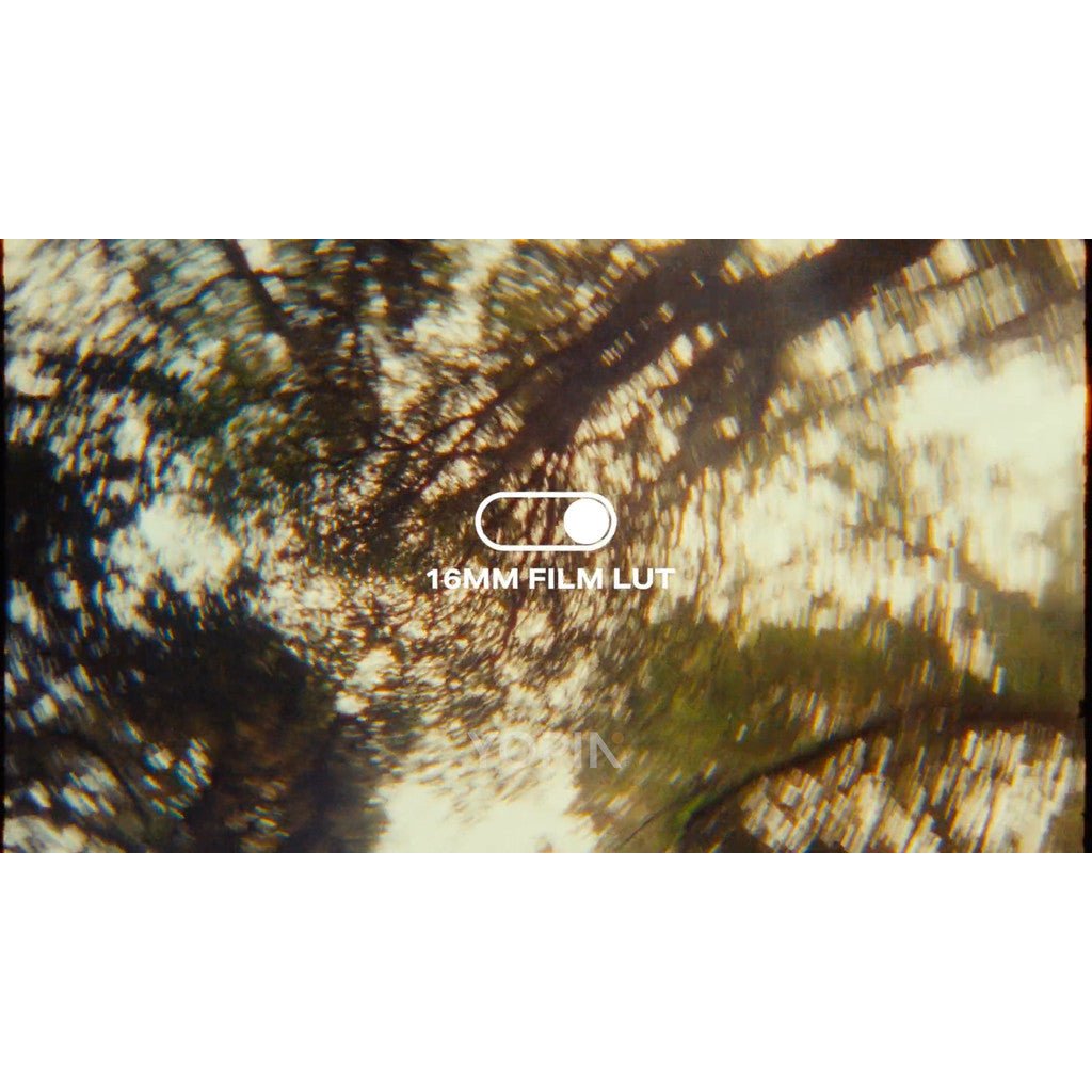 LUT | 3 Retro Film 16mm LUTs – Blue, Warm, Green 🎞️✨ - MICHIGO STUDIO