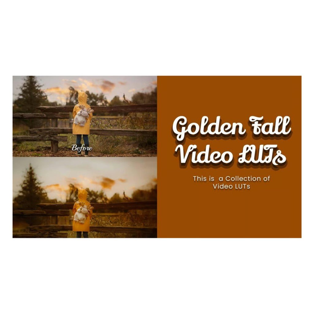 🎬 LUT – 30 Golden Autumn Color Grading LUTs – Golden Fall Video LUTs, Supports REC709 ✨ [ MICHIGO STUDIO ] - MICHIGO STUDIO