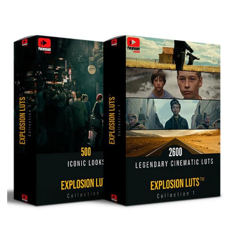 🎨 LUT | 3100 CUBE Format Professional LUT Presets – Iconic Looks by Photographers & Filmmakers - MICHIGO STUDIO