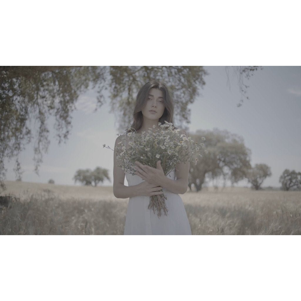 🎨 [LUT] 5 cinematic travel & wedding color - grading presets – Archipelago Light & Legacy LUTs - MICHIGO STUDIO