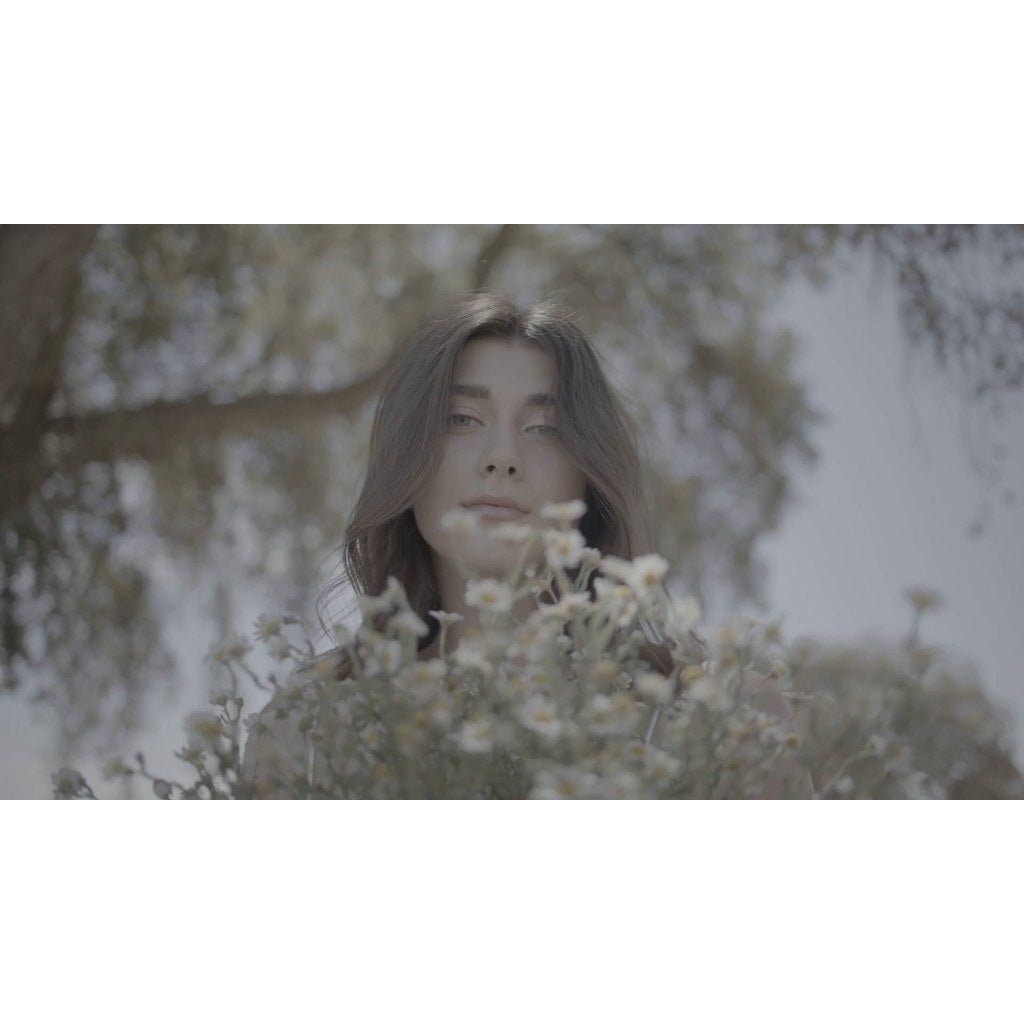 🎨 [LUT] 5 cinematic travel & wedding color - grading presets – Archipelago Light & Legacy LUTs - MICHIGO STUDIO