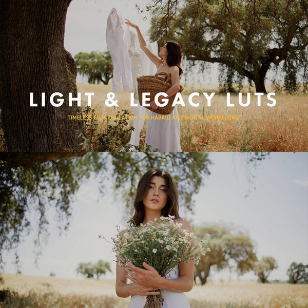 🎨 [LUT] 5 cinematic travel & wedding color-grading presets – Archipelago Light & Legacy LUTs