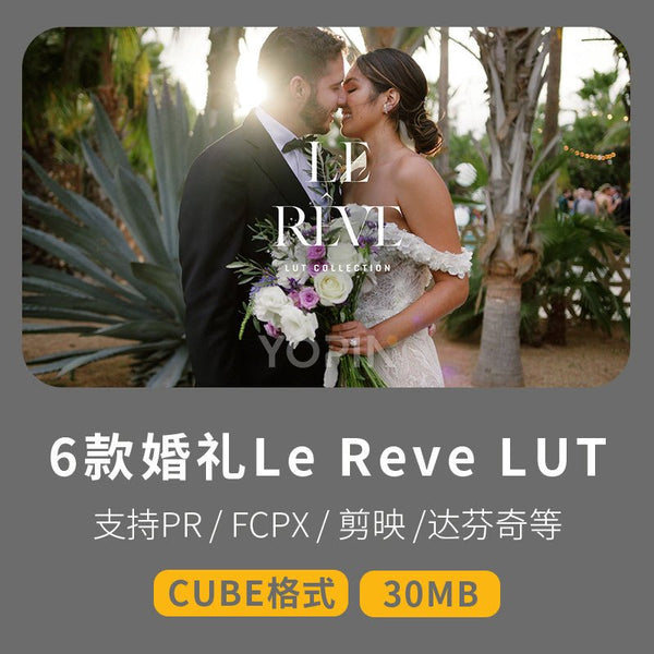 LUT | 6 Dreamy Romantic Wedding LUTs – Gamut Le Reve 🌿💫