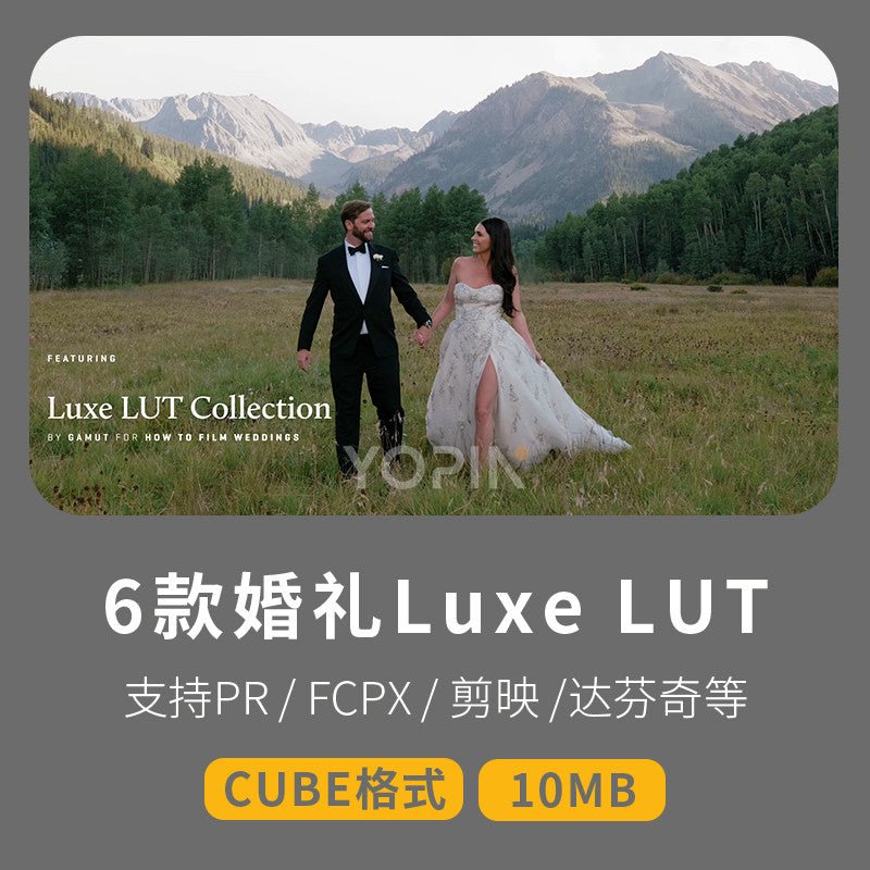 LUT | 6 Luxe Wedding Cinematic LUTs – Elegant & Fresh ✨💍 - MICHIGO STUDIO