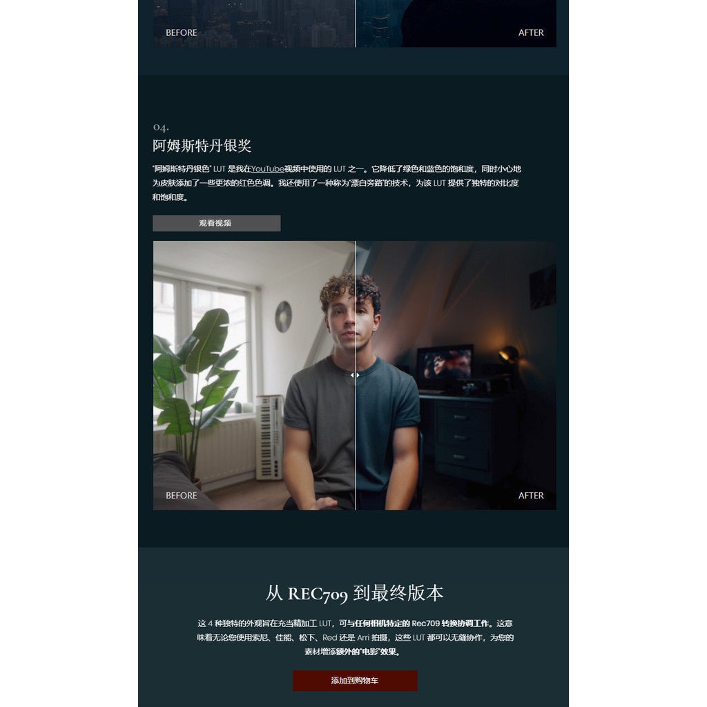 📹 LUT 600 | Reilin Joey Secret Sauce - Cinematic LUTs + RAW Footage Pack - MICHIGO STUDIO