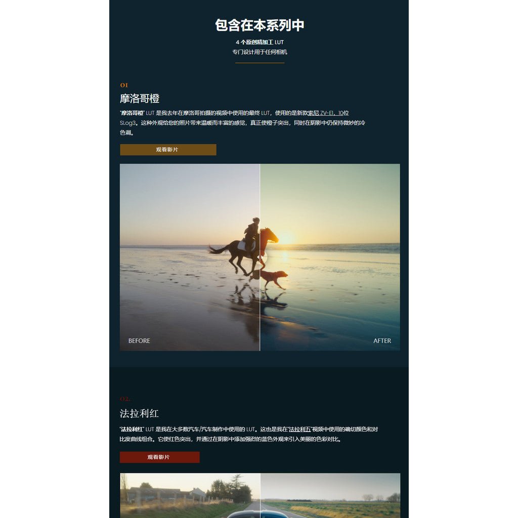 📹 LUT 600 | Reilin Joey Secret Sauce - Cinematic LUTs + RAW Footage Pack - MICHIGO STUDIO