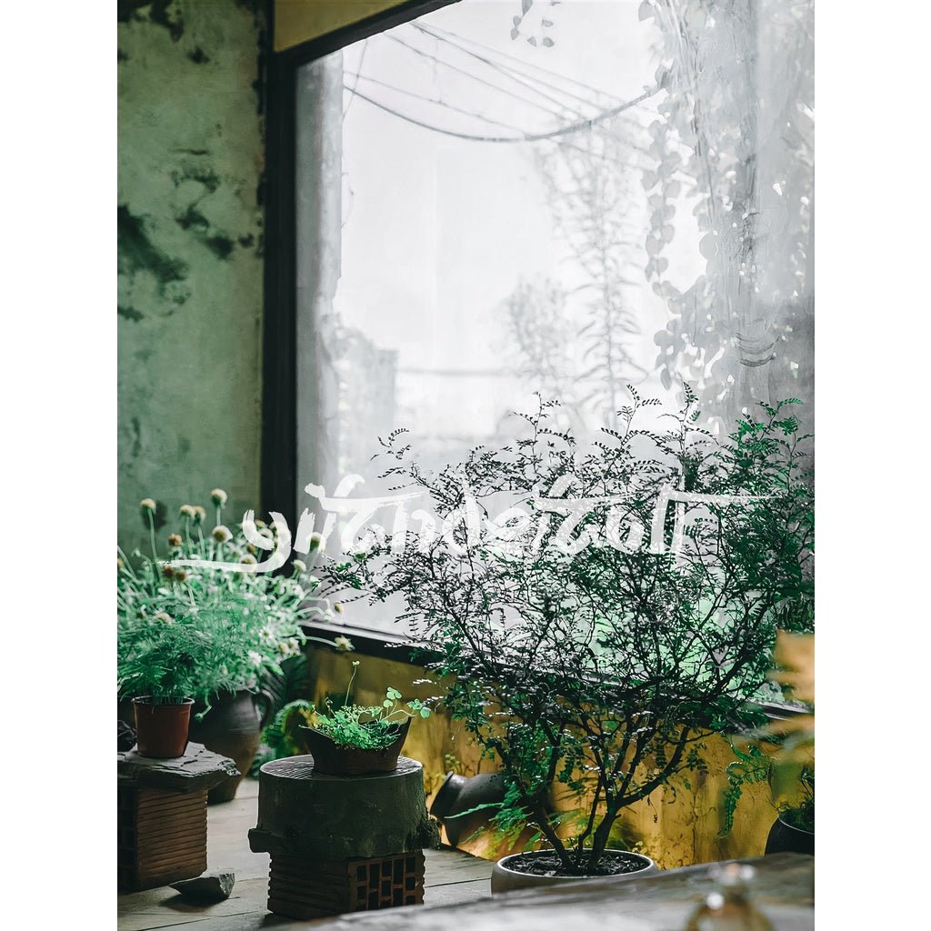 LUT 652 📸 LR Pixelcake Japanese Artistic Wedding – Lightroom Preset (16 Types, PS, PR, Capcut, PhaseOne) - MICHIGO STUDIO