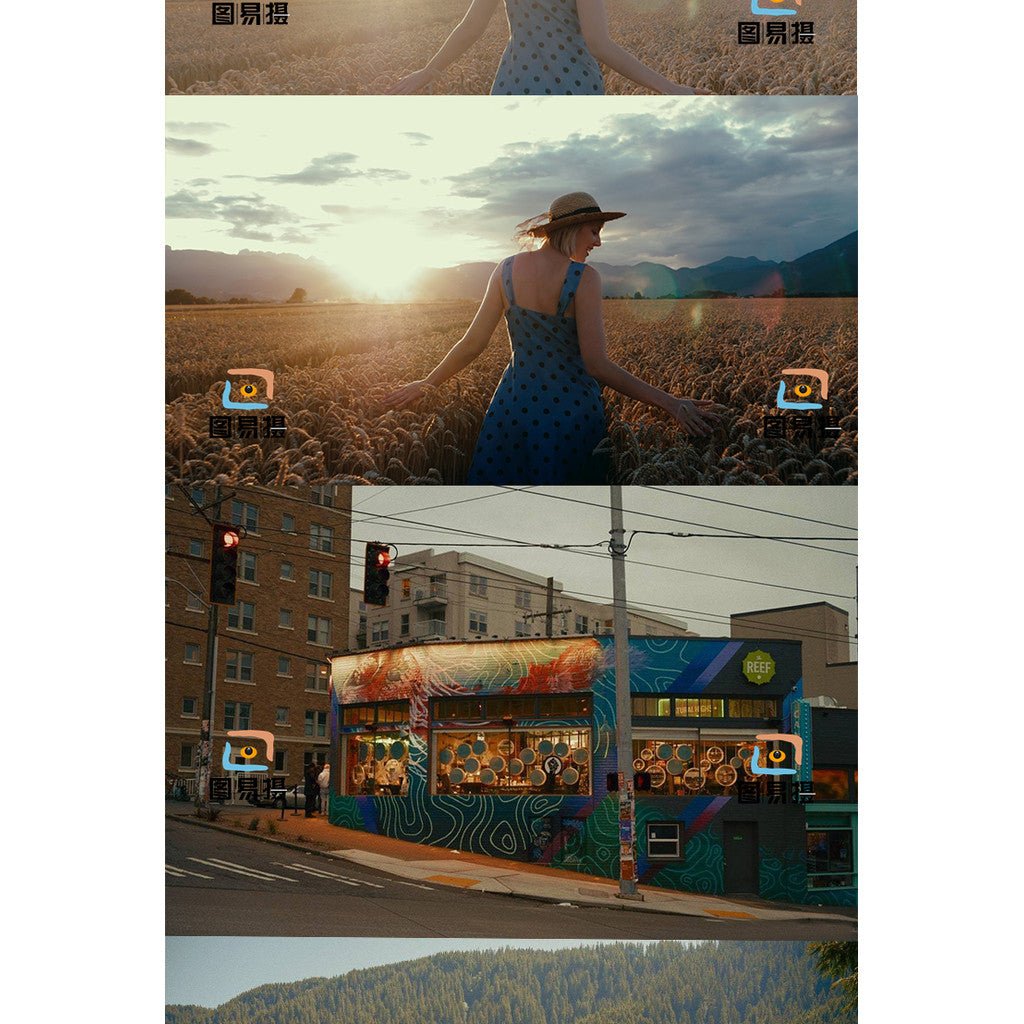 LUT 693 | Fuji3513 Film Emulation LUT – PR | FCPX | DaVinci 🎬📷 - MICHIGO STUDIO