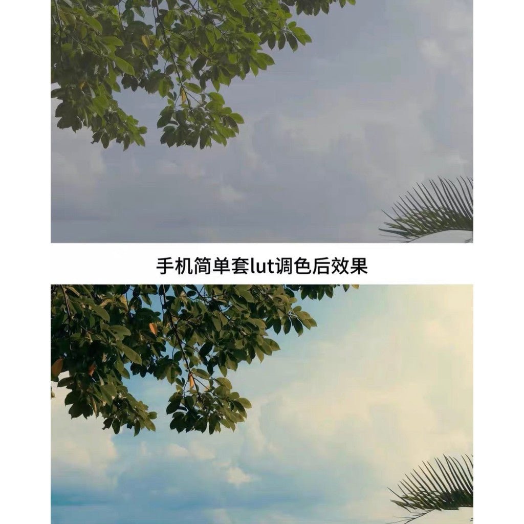 🎬 LUT – Blackmagic Camera AppleLog Film Look LUT – Viral TikTok Style ✨ 6709 [ MICHIGO STUDIO ] - MICHIGO STUDIO