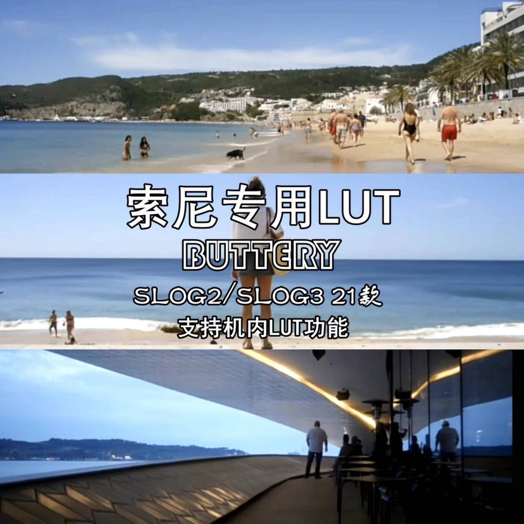 LUT | 🎬 Buttery Sony SLog2 & SLog3 LUTs – 21 Styles Rec.709 + Creative - MICHIGO STUDIO