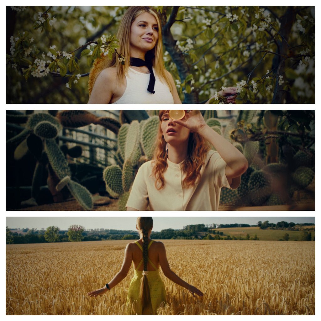 🎨 LUT | DaVinci DCTL Plugin – Rocket Rooster Film Labs 64 Kodak & Fuji Film Stock - MICHIGO STUDIO