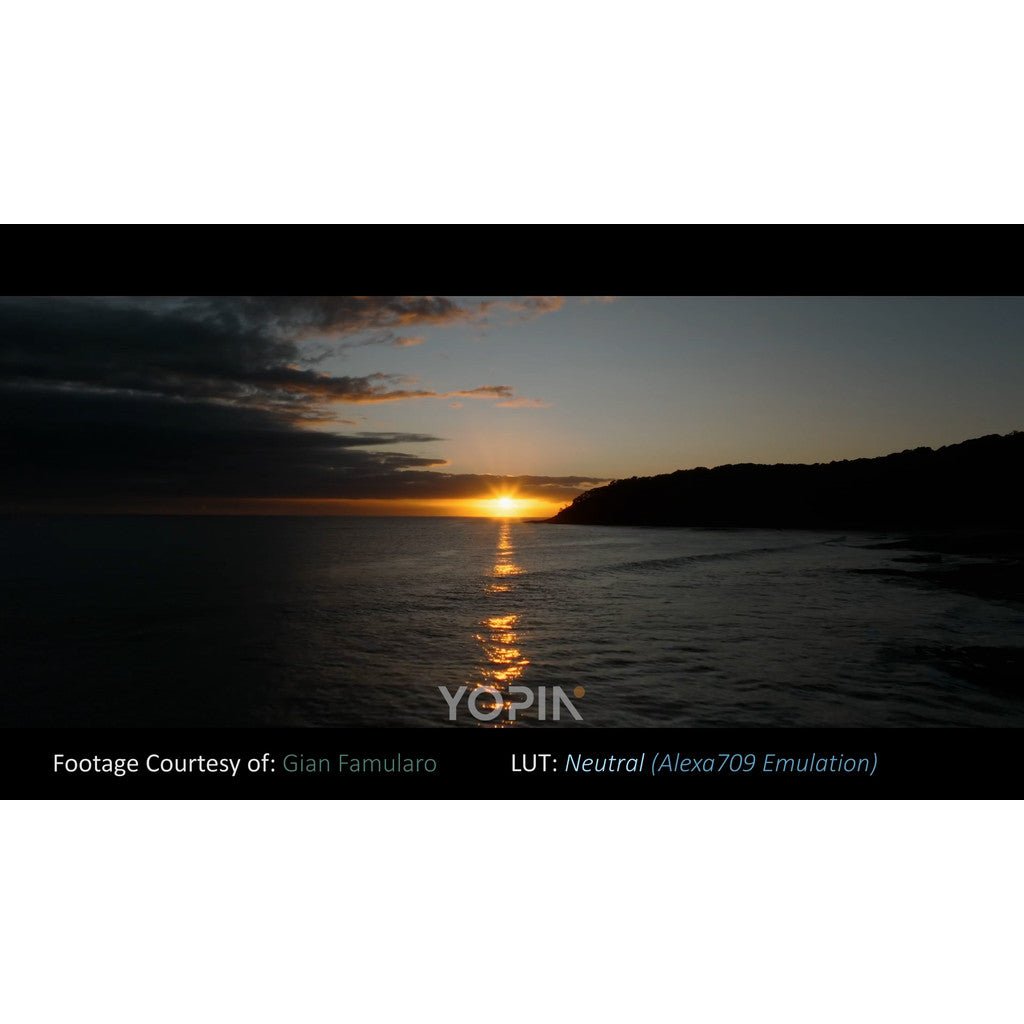 LUT | DJI Mavic 3 Pro Phantom LUTs – Dlog - M → ARRI 🎬🚁 - MICHIGO STUDIO