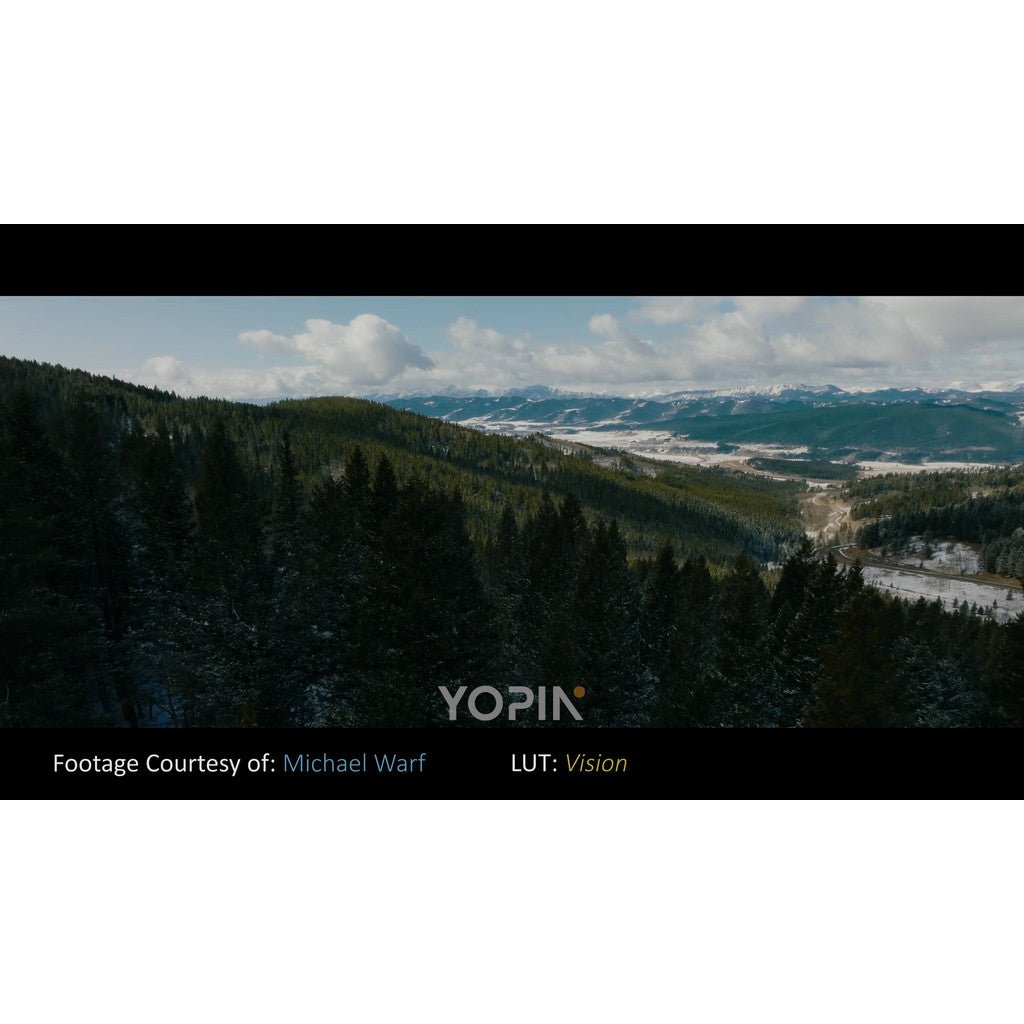 LUT | DJI Mavic 3 Pro Phantom LUTs – Dlog - M → ARRI 🎬🚁 - MICHIGO STUDIO