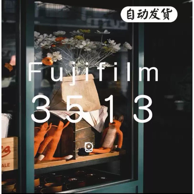 LUT | 🎬 Fujifilm 3513 Film Presets LUT & Filter Configuration - MICHIGO STUDIO