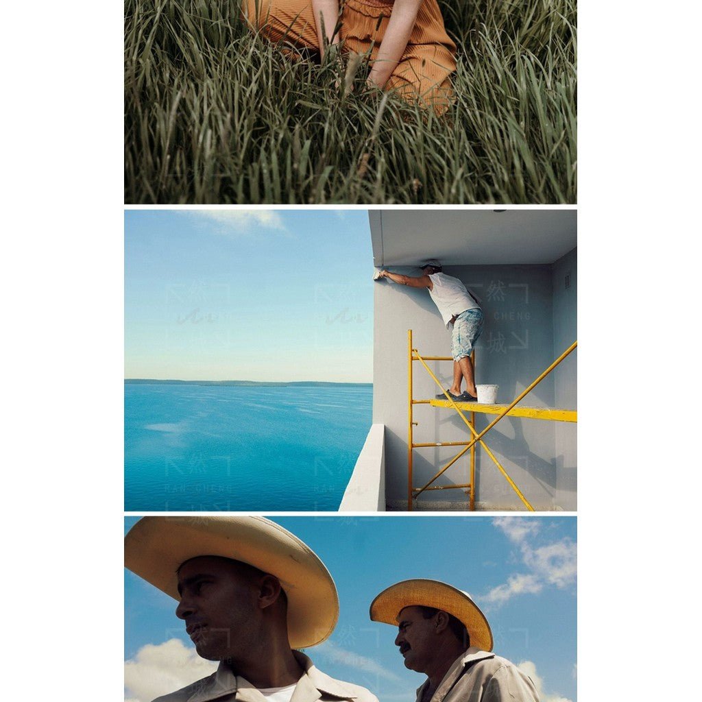 LUT | 🎬 Fujifilm & Kodak Film Simulation LUT + LR Presets - MICHIGO STUDIO
