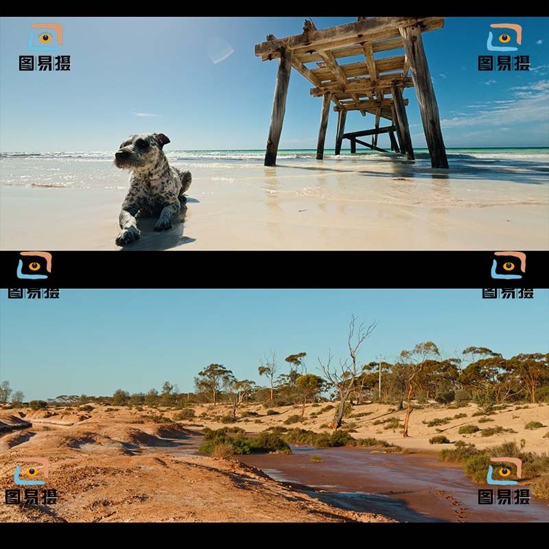 LUT | 🎬 iPhone16 Apple Log → Arri Alexa Film LUT – PR | DaVinci - MICHIGO STUDIO