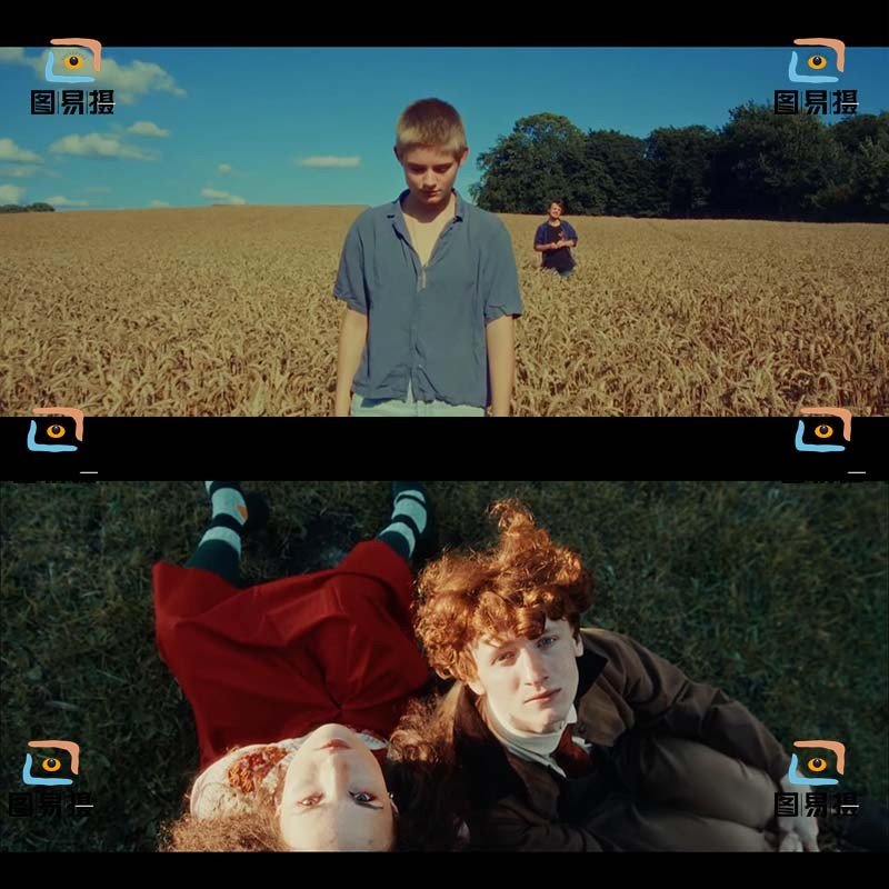 LUT | 🌟 Kodak 2383 Retro Film Emulation LUT – PR | FCPX | DaVinci - MICHIGO STUDIO