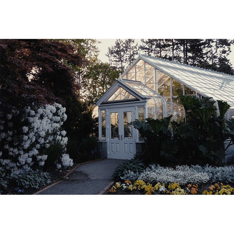 LUT | 🎬 Kodak Vision3 500T Vintage Cinematic Film Simulation LUT Presets for PR/PS - MICHIGO STUDIO