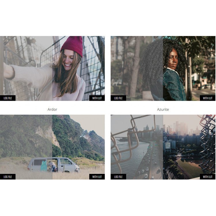 🎨 LUT | MotionVFX mLut Film 2 – 30 Professional Film Color Grading LUTs - MICHIGO STUDIO