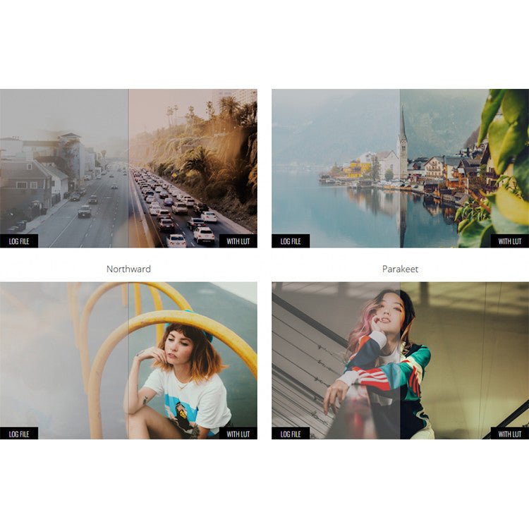 🎨 LUT | MotionVFX mLut Film 2 – 30 Professional Film Color Grading LUTs - MICHIGO STUDIO
