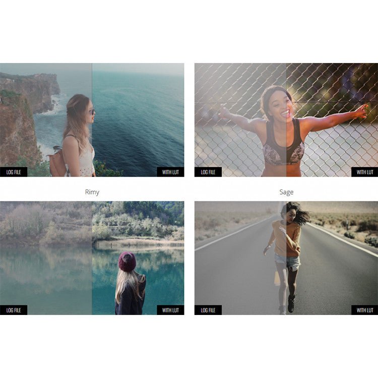 🎨 LUT | MotionVFX mLut Film 2 – 30 Professional Film Color Grading LUTs - MICHIGO STUDIO