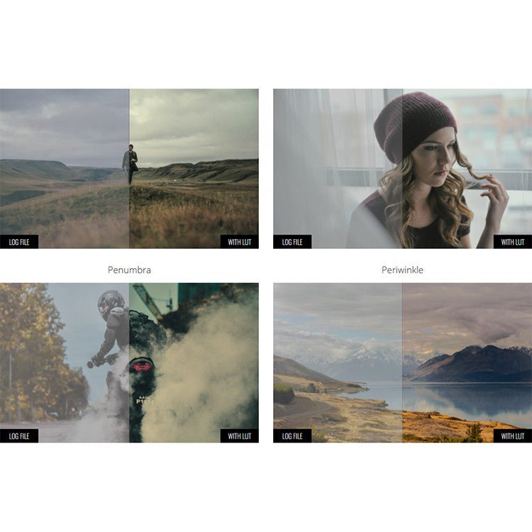 🎨 LUT | MotionVFX mLut Film 2 – 30 Professional Film Color Grading LUTs - MICHIGO STUDIO