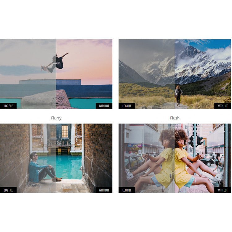 🎨 LUT | MotionVFX mLut Film 2 – 30 Professional Film Color Grading LUTs - MICHIGO STUDIO