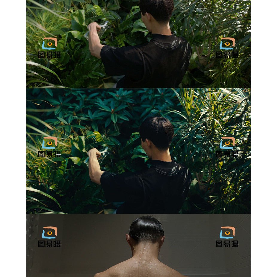 LUT | 🎞️ Netflix Kodak 250D Film Emulation LUT – PR | FCPX | DaVinci - MICHIGO STUDIO