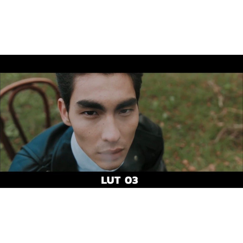 🎥 LUT | Nikon Cinematic Pack (15 Styles) – Supports N - Log & Rec709, Compatible with All Software | MICHIGO STUDIO - MICHIGO STUDIO