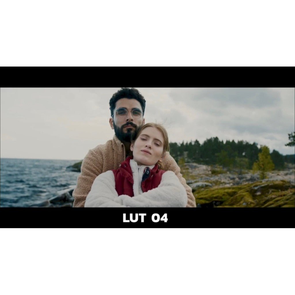 🎥 LUT | Nikon Cinematic Pack (15 Styles) – Supports N - Log & Rec709, Compatible with All Software | MICHIGO STUDIO - MICHIGO STUDIO
