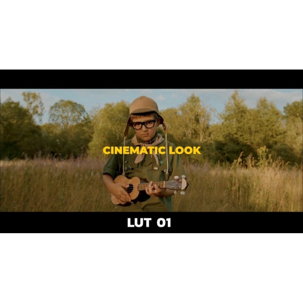 🎥 LUT | Nikon Cinematic Pack (15 Styles) – Supports N - Log & Rec709, Compatible with All Software | MICHIGO STUDIO - MICHIGO STUDIO