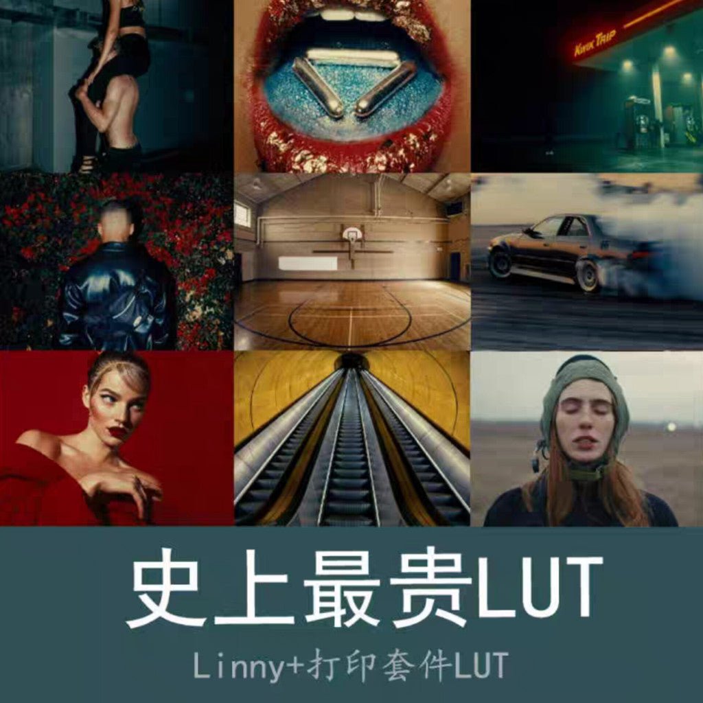 📹 LUT PRESET | TheBrim Linny+print LUT Arri Log C+ Extra Print Kit LUT, Most Expensive | MICHIGO STUDIO - MICHIGO STUDIO