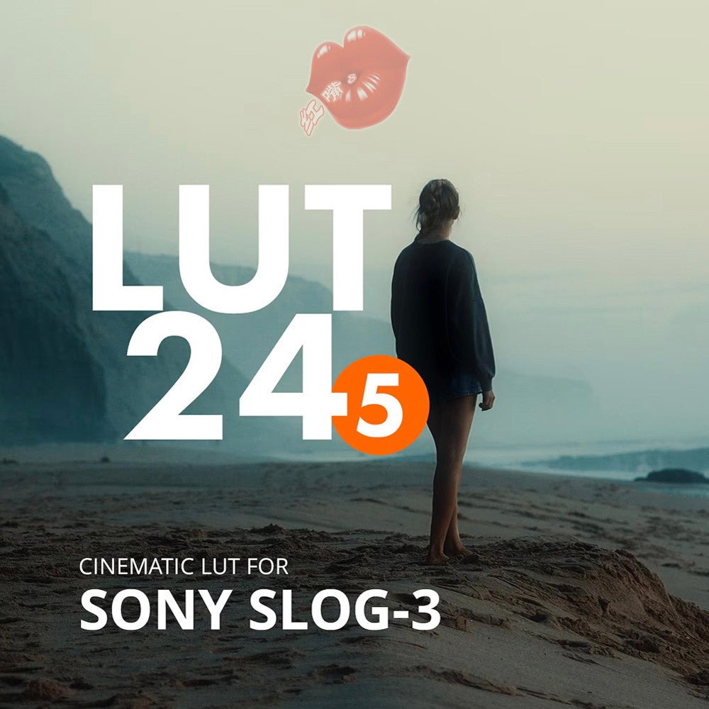 🎬 LUT – Sony S - Log3 Cinematic LUT Presets – Roman Hense LUT 24 - 7/6/5 ✨ [ MICHIGO STUDIO ] - MICHIGO STUDIO