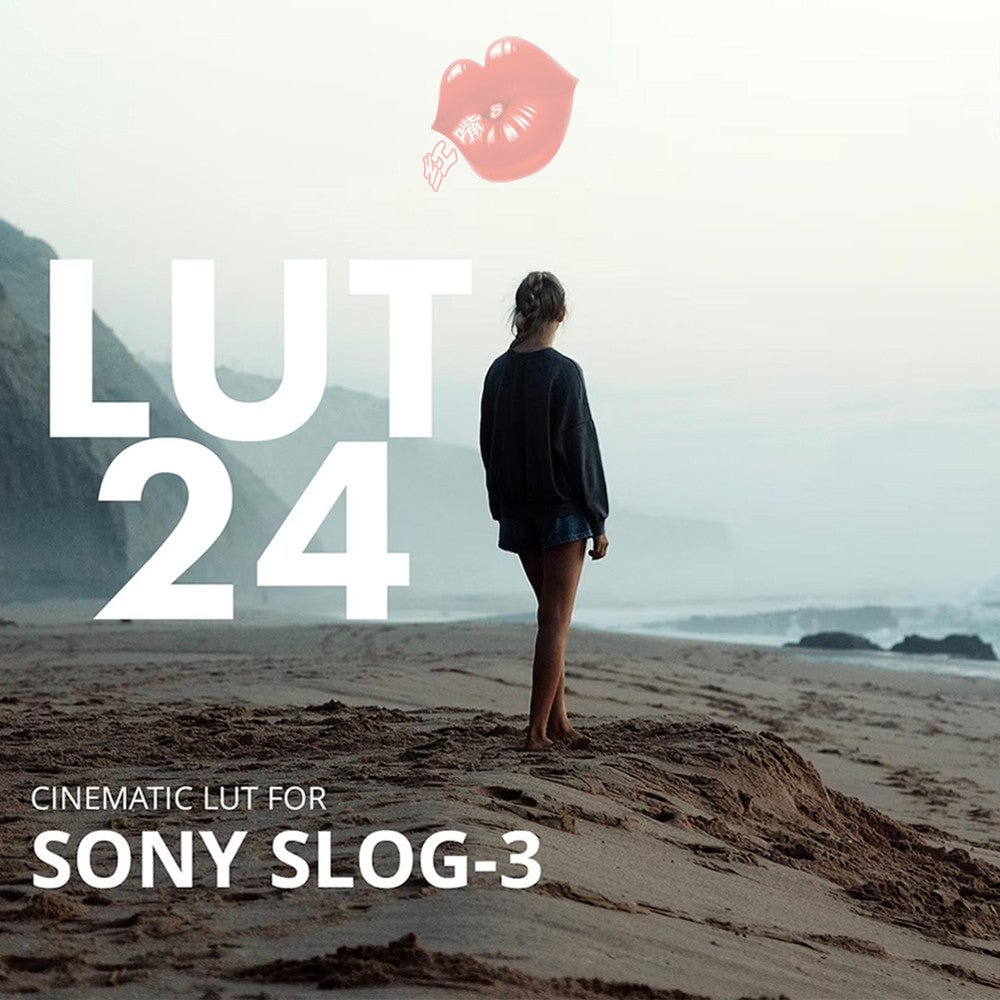 🎬 LUT – Sony S - Log3 Cinematic LUT Presets – Roman Hense LUT 24 - 7/6/5 ✨ [ MICHIGO STUDIO ] - MICHIGO STUDIO