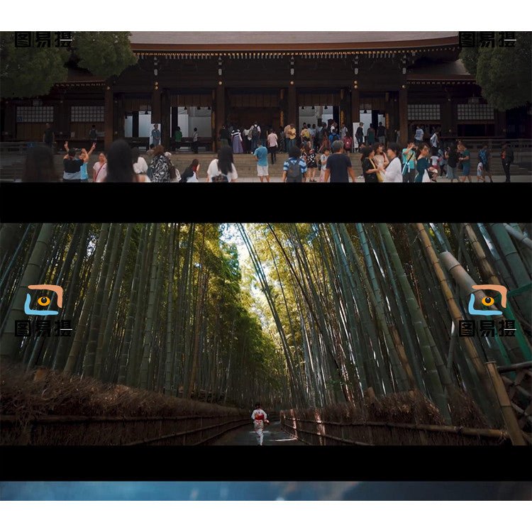 LUT | 📷 Sony S - Log3 Documentary Film LUT – PR | FCPX | DaVinci - MICHIGO STUDIO
