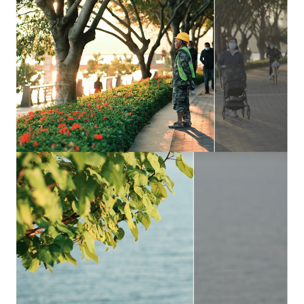 🎬 LUT – Sony S - Log3 to Fuji Film LUT Pack – 22 Sets, DaVinci / JianYing CUBE Style ✨ [ MICHIGO STUDIO ] - MICHIGO STUDIO