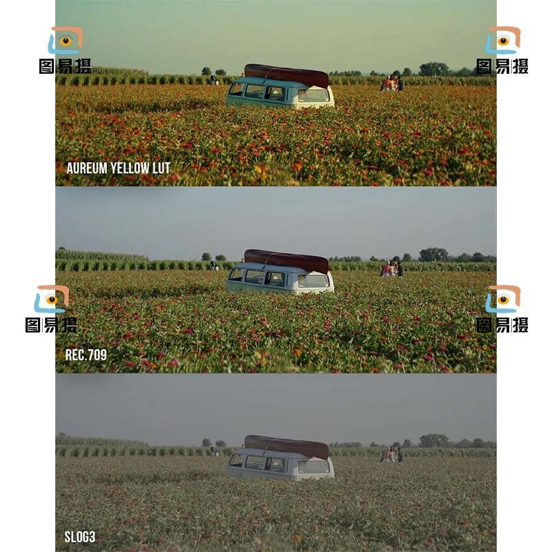 LUT | 🎬 Sony S - Log3 Vintage Film LUT – PR | FCPX | DaVinci - MICHIGO STUDIO