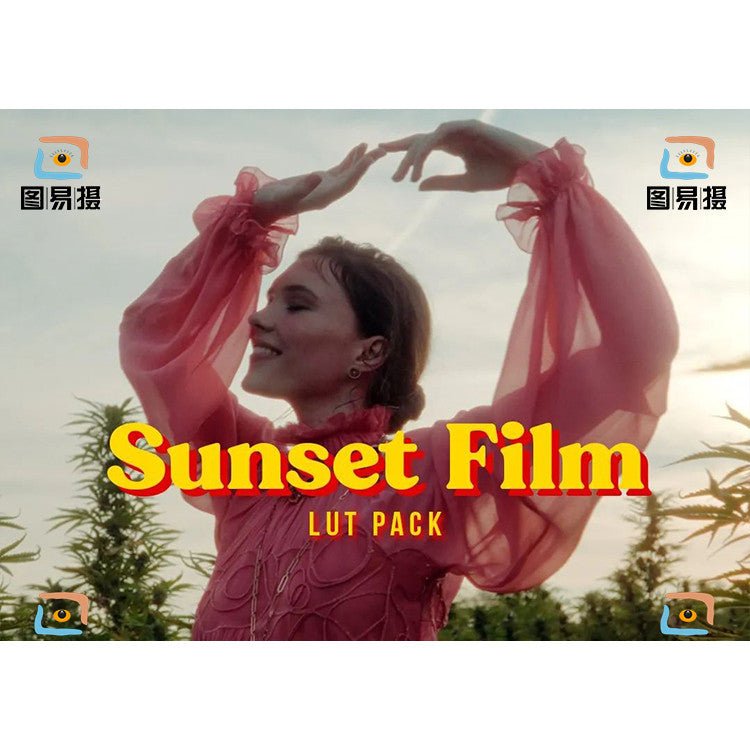LUT | 🎬 Sony S - Log3 Vintage Film LUT – PR | FCPX | DaVinci - MICHIGO STUDIO