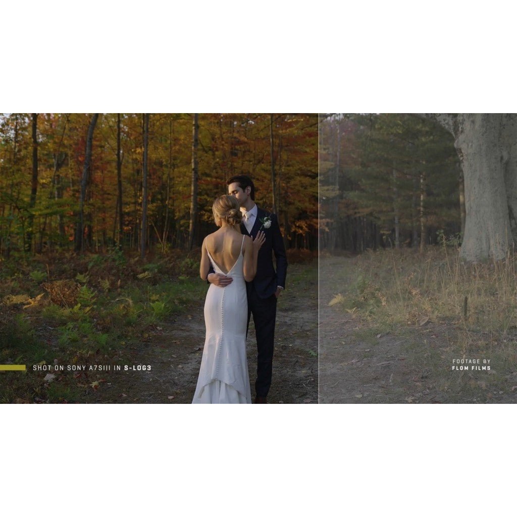 LUT | 🎞️ Sony S - Log3/S - Log2 Natural Color Conversion LUT – Clean Skin & Highlight Roll - Off - MICHIGO STUDIO