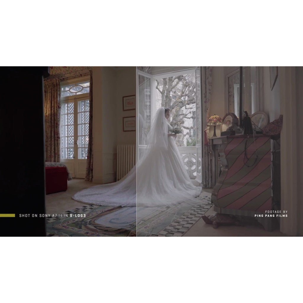 LUT | 🎞️ Sony S - Log3/S - Log2 Natural Color Conversion LUT – Clean Skin & Highlight Roll - Off - MICHIGO STUDIO