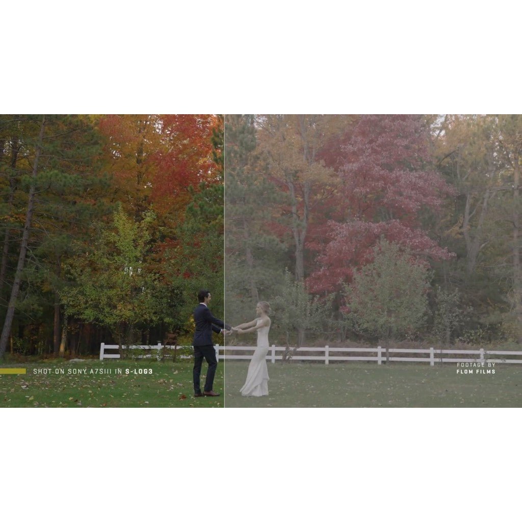 LUT | 🎞️ Sony S - Log3/S - Log2 Natural Color Conversion LUT – Clean Skin & Highlight Roll - Off - MICHIGO STUDIO