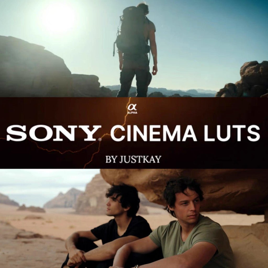 LUT | 🎬 Sony SLOG3 True Tone LUTs Cinematic Film Presets + DaVinci Color Grading Nodes - MICHIGO STUDIO