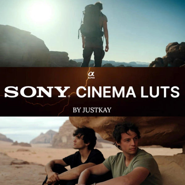 LUT | 🎬 Sony SLOG3 True Tone LUTs Cinematic Film Presets + DaVinci Color Grading Nodes