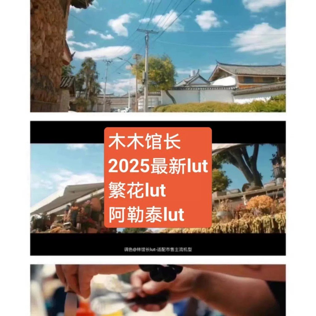 🎬 LUT – Viral TikTok Style Lin Guanzhang 2025 iPhone Cinematic LUT Collection Vol.2 ✨ [ MICHIGO STUDIO ] - MICHIGO STUDIO