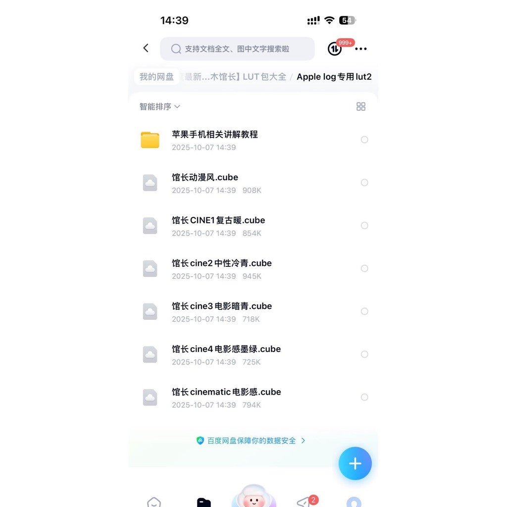 🎬 LUT – Viral TikTok Style Lin Guanzhang 2025 iPhone Cinematic LUT Collection Vol.2 ✨ [ MICHIGO STUDIO ] - MICHIGO STUDIO