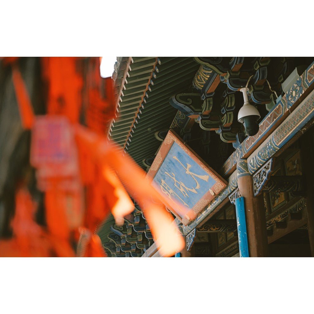 LUT | VOL.1 Street Film Look 🚶🎥 LUMIX LUT & LR • Fuji - based • S5M2/X • G9M2 • S9 • GH7 【MICHIGO STUDIO】 - MICHIGO STUDIO