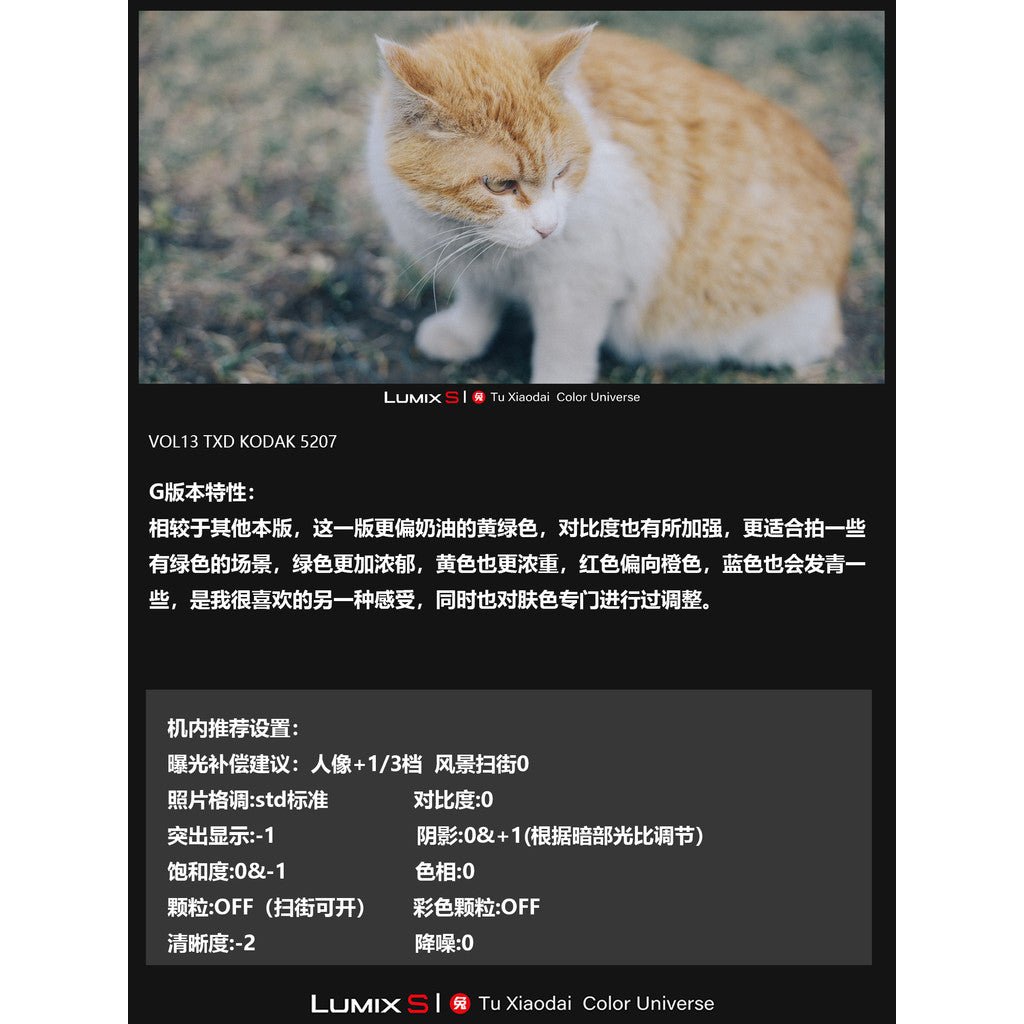 LUT | VOL.13 Kodak 5207 Film Look 🎞️ PS / LR / DaVinci • S5M2/X • S1R2 • S9 【MICHIGO STUDIO】 - MICHIGO STUDIO