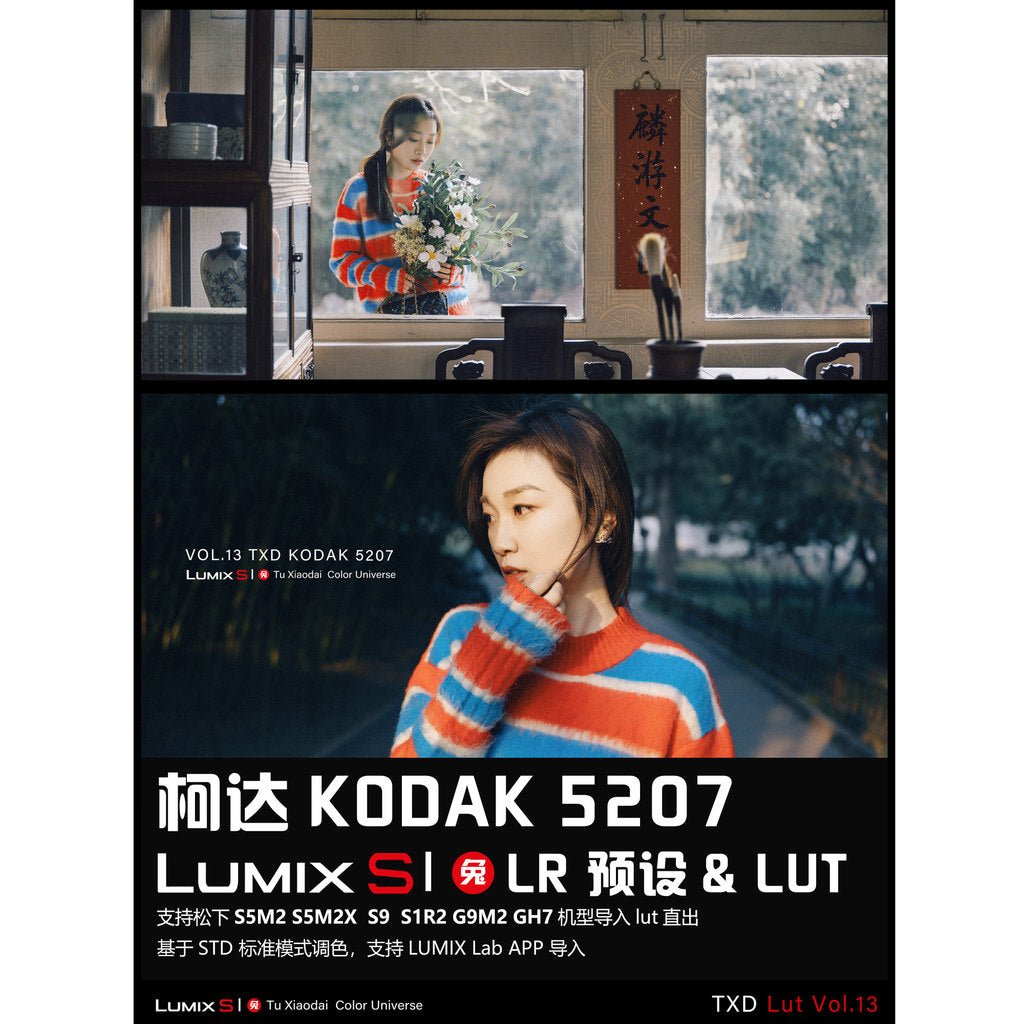 LUT | VOL.13 Kodak 5207 Film Look 🎞️ PS / LR / DaVinci • S5M2/X • S1R2 • S9 【MICHIGO STUDIO】 - MICHIGO STUDIO