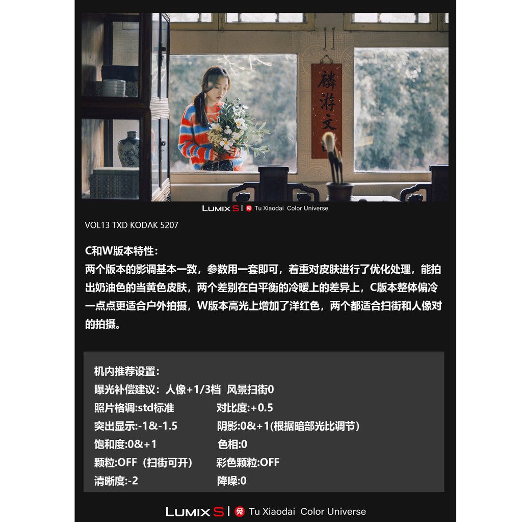 LUT | VOL.13 Kodak 5207 Film Look 🎞️ PS / LR / DaVinci • S5M2/X • S1R2 • S9 【MICHIGO STUDIO】 - MICHIGO STUDIO